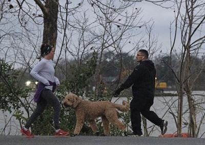 BR.wildwinterwalk.adv HS 001.JPG