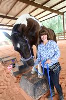 equine.tam.072722.02.jpg