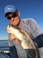 Fall run on trout getting started