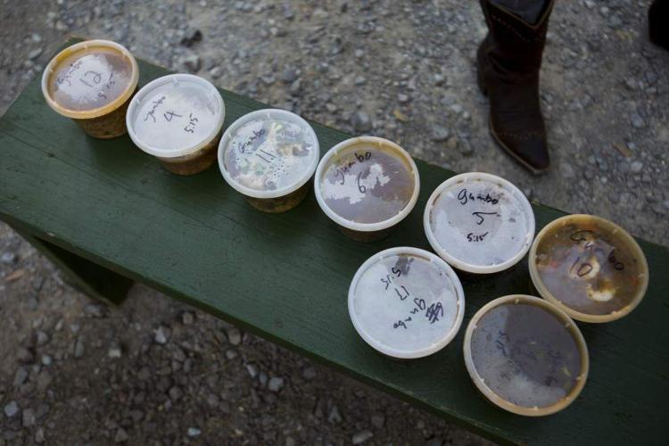 ‘Black Pot Festival’ in Lafayette serves up stew of food, fun and music