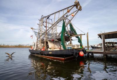 Last day of inside Louisiana waters shrimp season