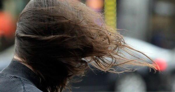 Late-season freeze forecast for parts of southeast Louisiana as winds bring in cold weather