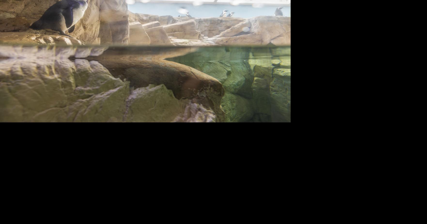 Gifts of experience can make memories of a lifetime Entertainment