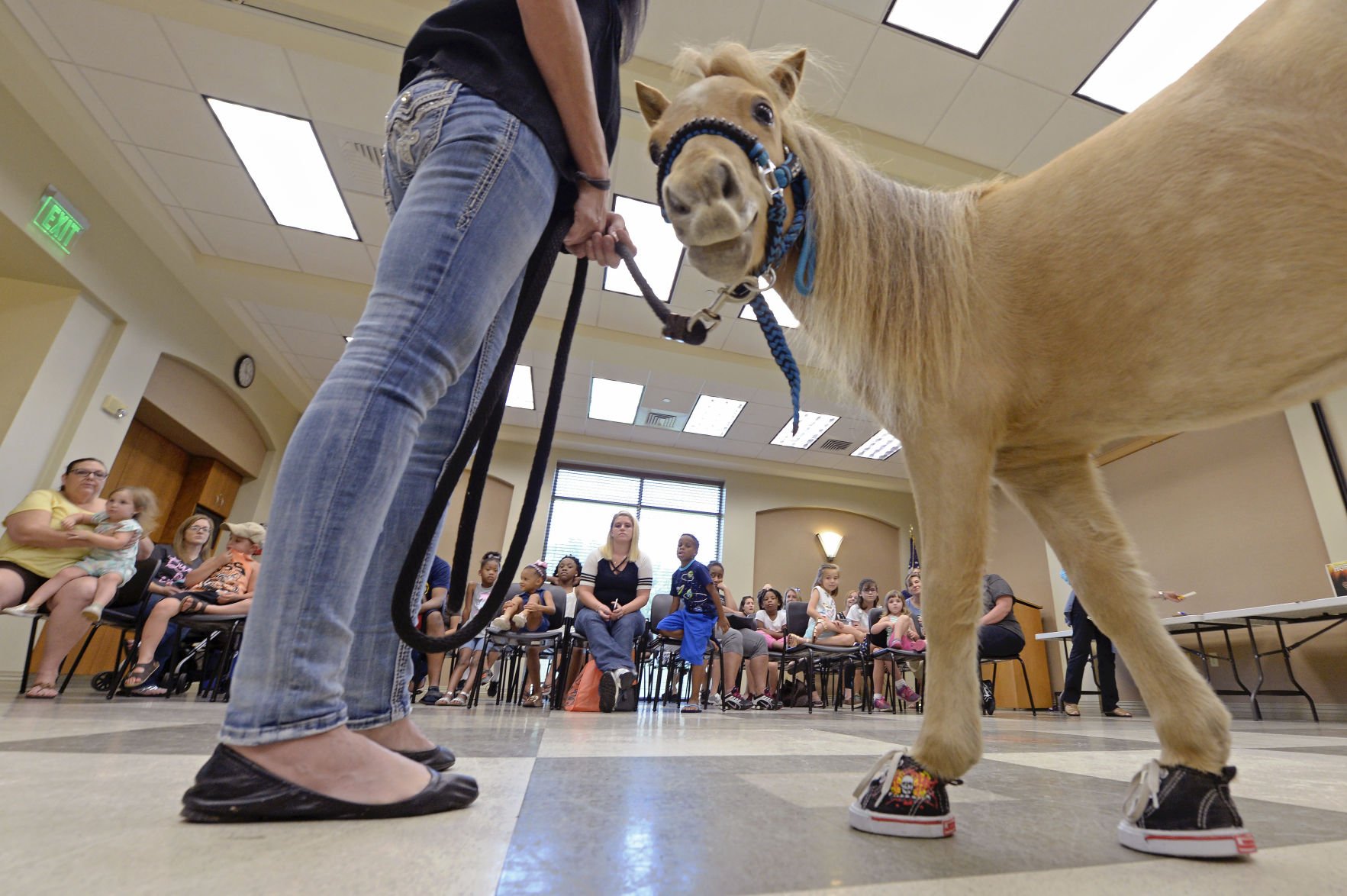 Miniature horse boots on sale sneakers