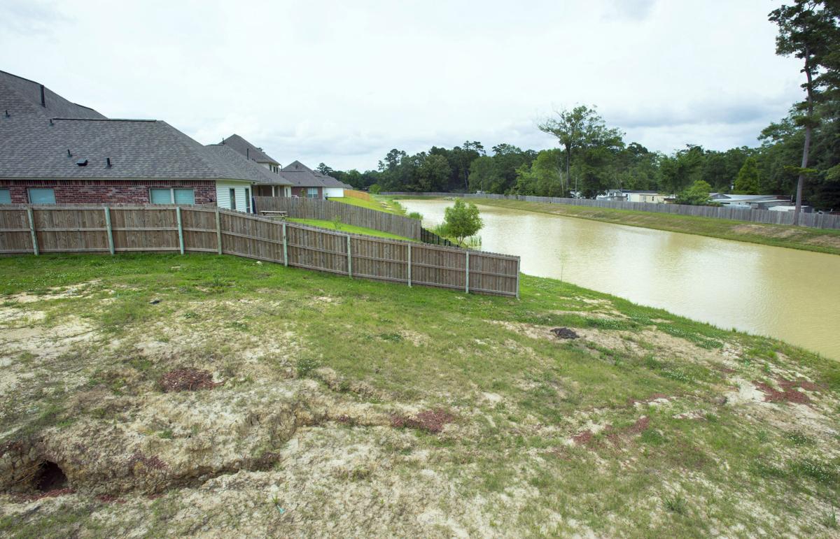 Ascension Parish Council Members Surprised By President Veto Wonder If Compromise Possible Ascension Theadvocate Com