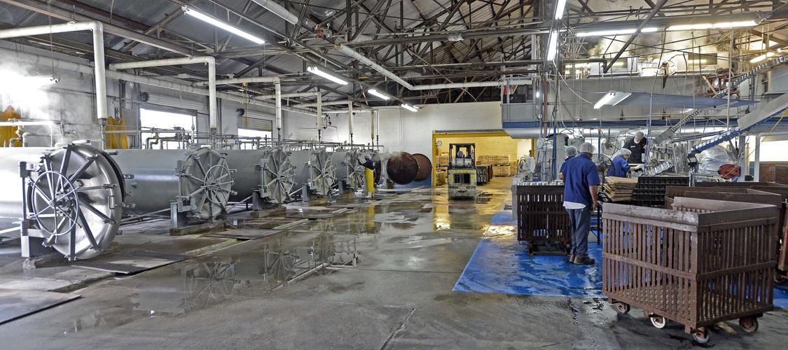 Blue Runner Foods gears up for new product line News