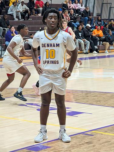 Denham Springs seeks return to basketball glory days | Livingston ...