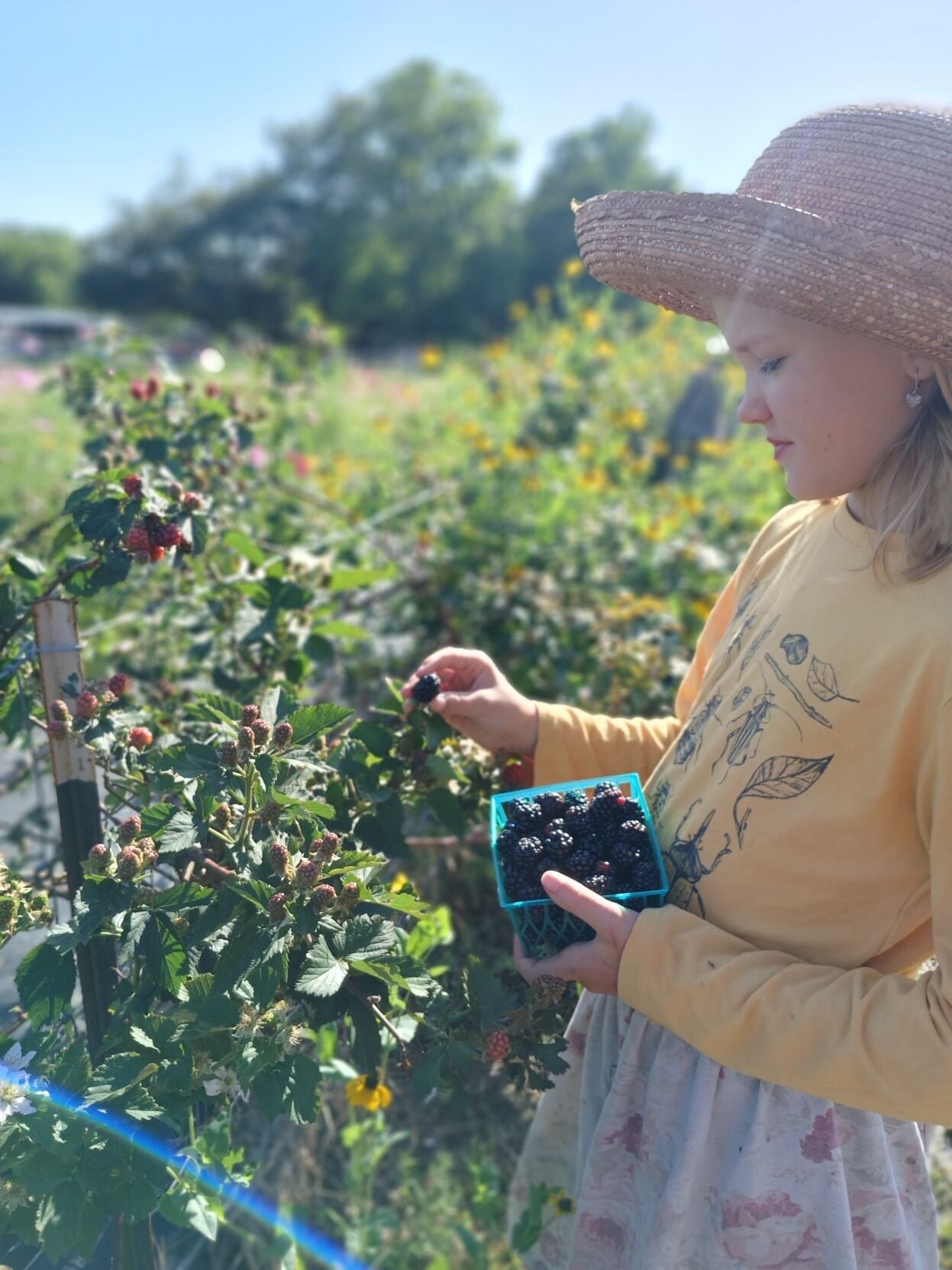 St. Rose Flower Farm
