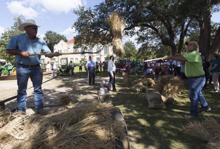 Photos Crowley Rice Festival News