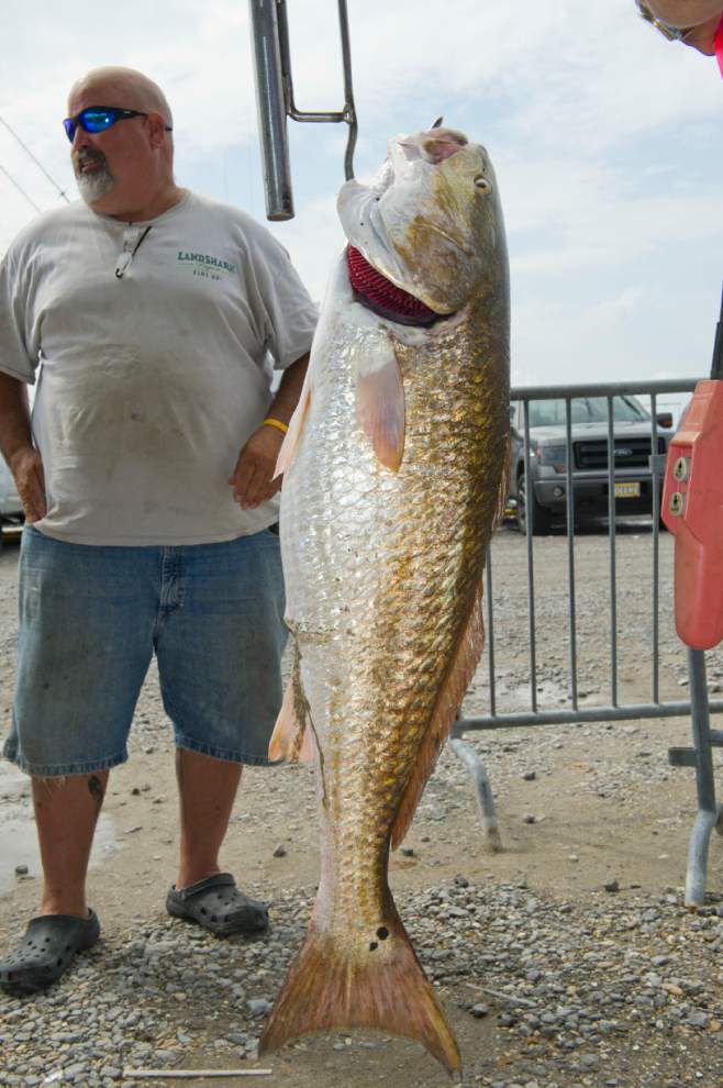 Gallery: International Grand Isle Tarpon Rodeo gets underway | News