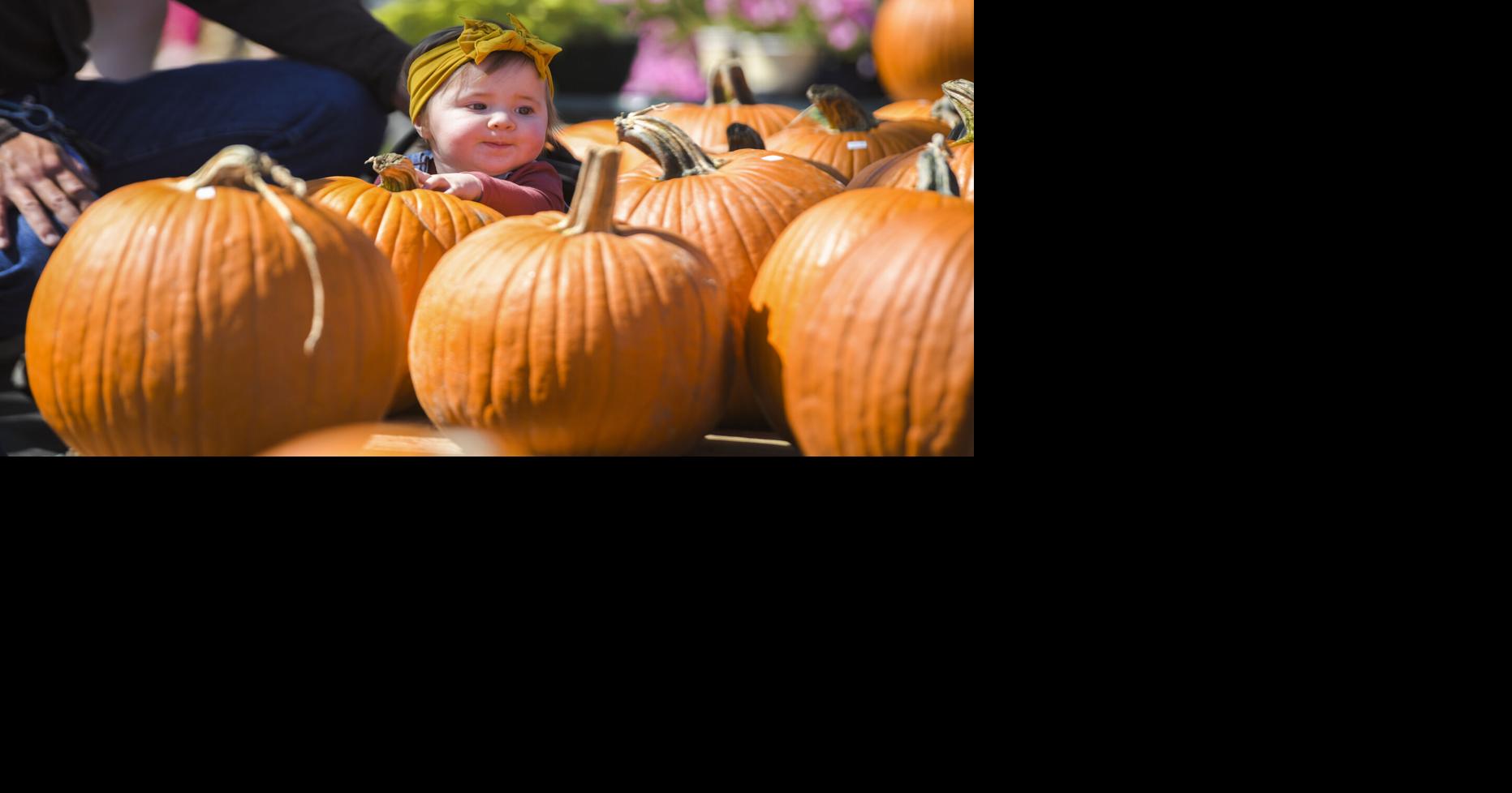 Lafayette Parish families, mayors prepare for trickortreating during