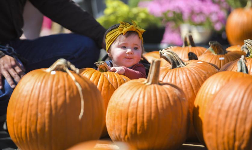 Lafayette Parish families, mayors prepare for trickortreating during