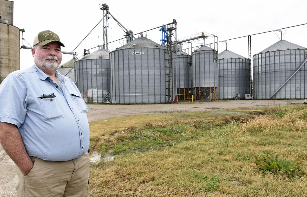 soybeanbiz0150.adv bf