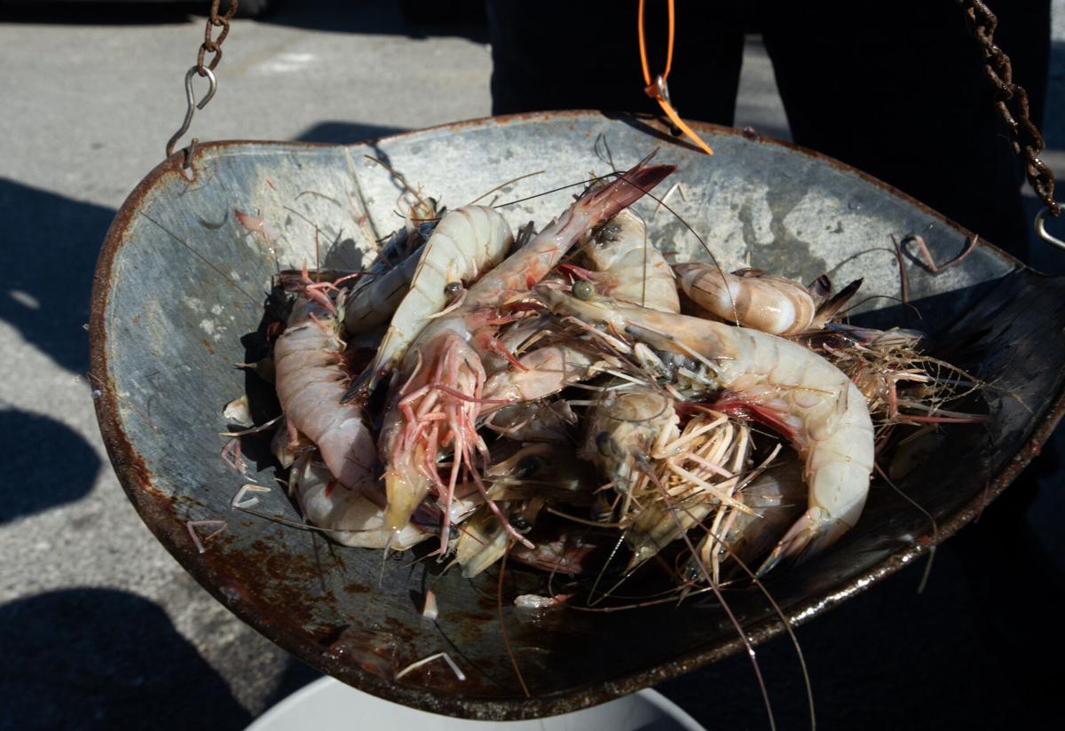 Delcambre Seafood Market sells Louisiana's freshest shrimp