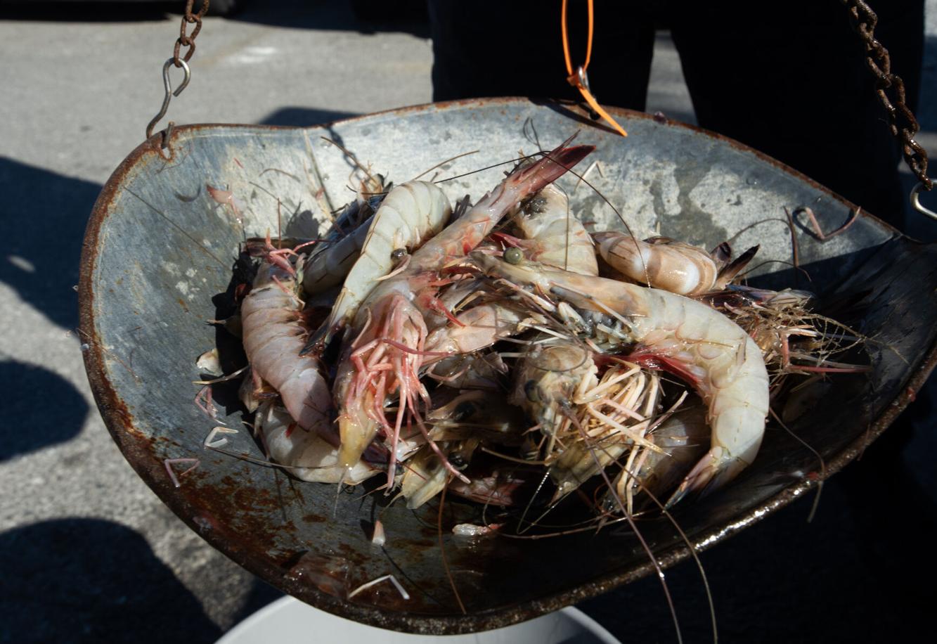 Delcambre Seafood Market sells Louisiana's freshest shrimp Entertainment/Life