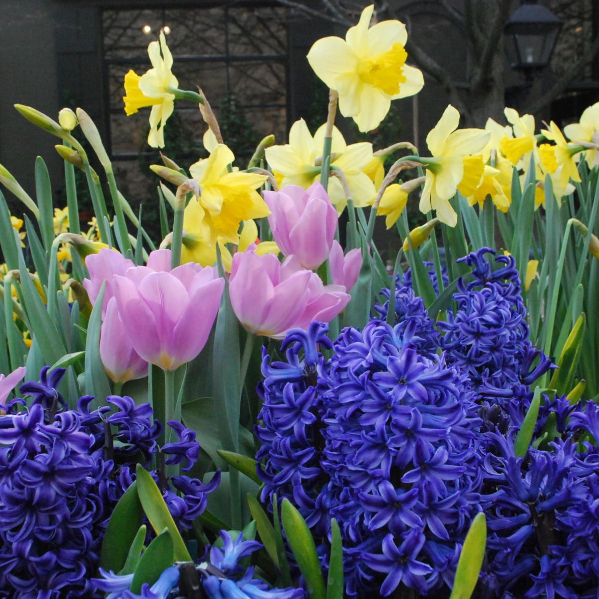 As Funeral Attendance Is Limited Due To Coronavirus Some Funeral