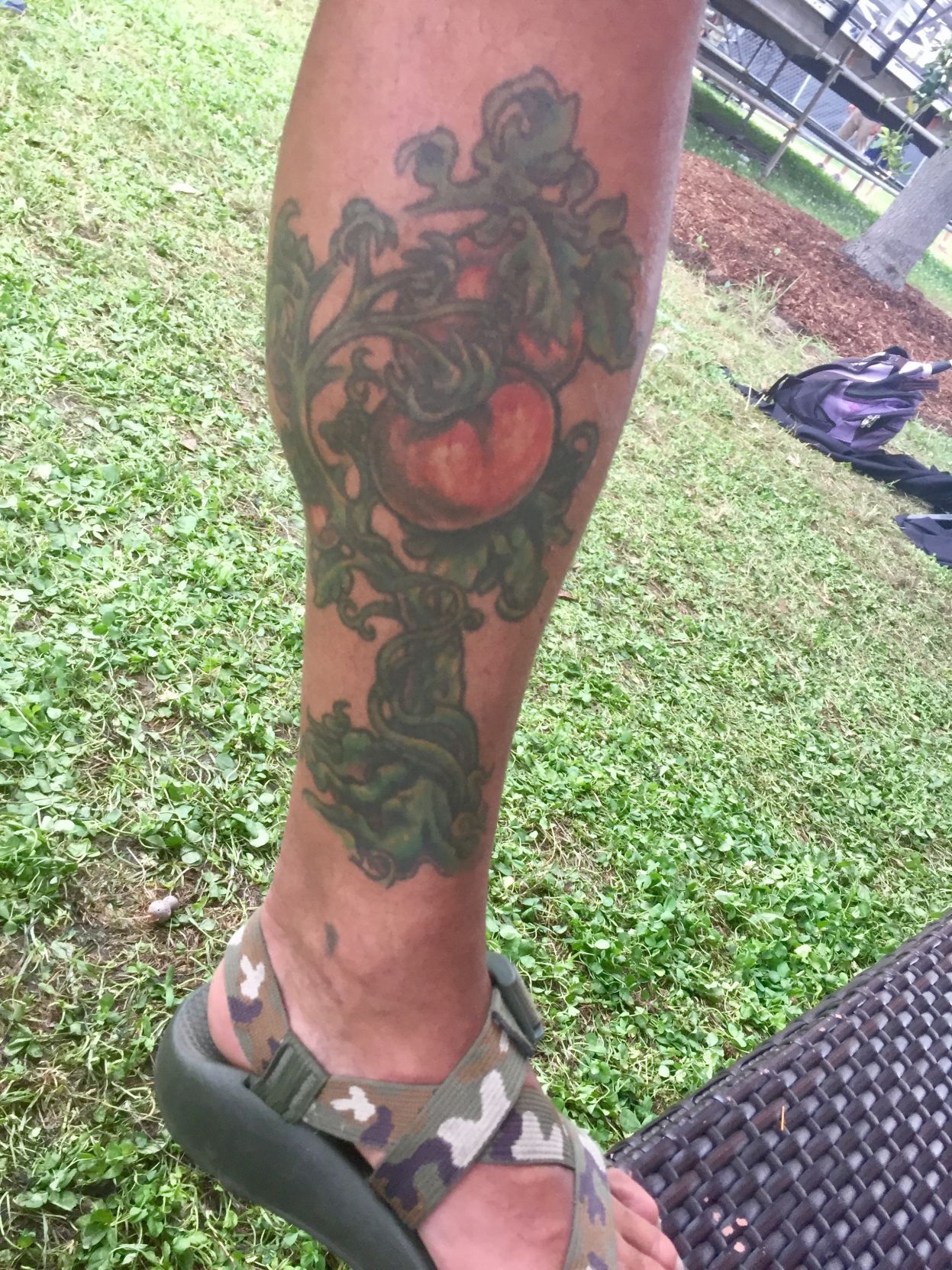 Ian McNulty The Creole tomato tattoo a Louisiana love story in