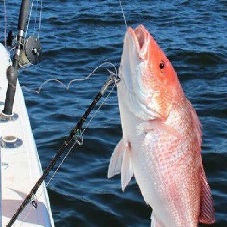 Top 10 Tips to Catch Red Snapper in Louisiana