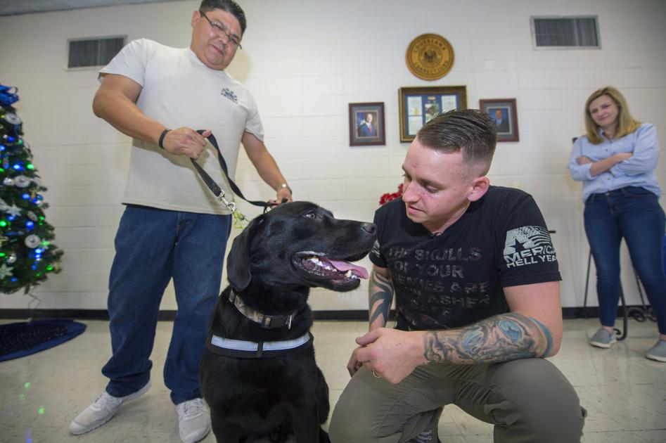 Inmates In Angola S New Paws Program Train Service Dogs For Veterans It S A Win Win Crime Police Theadvocate Com
