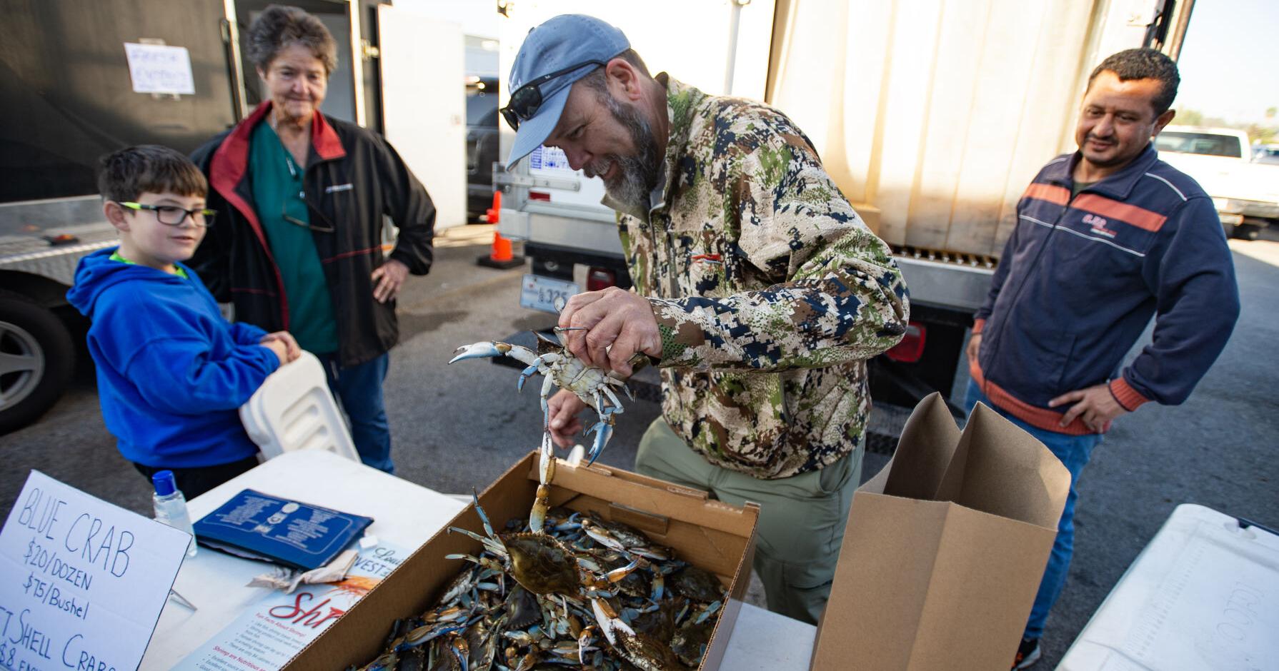 Delcambre Seafood Market sells Louisiana's freshest shrimp | Entertainment/Life - Vimarsana News
