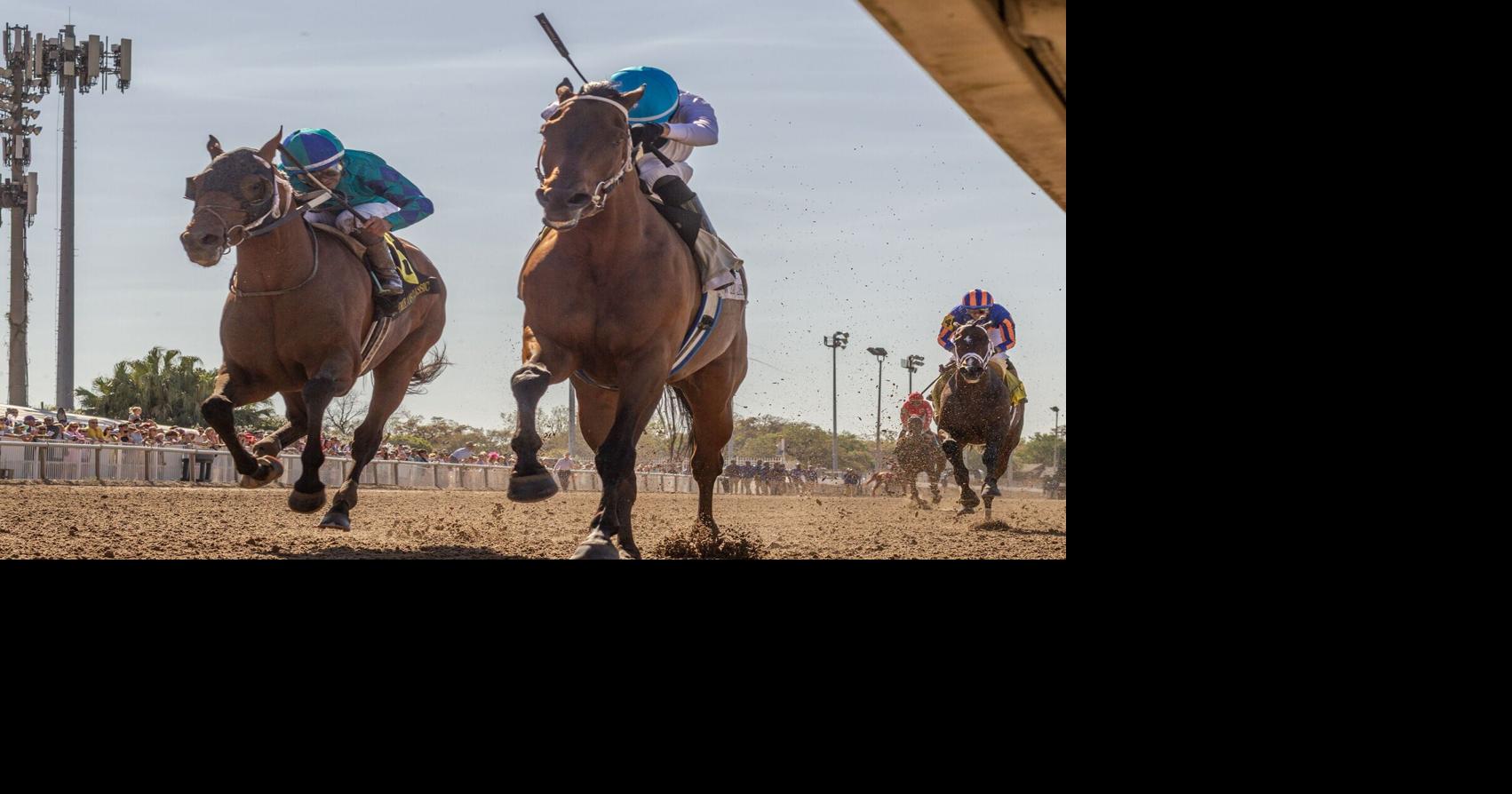 Touchuponastar dazzles in record-setting time to win New Orleans Classic