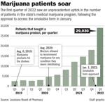 040922 Medical Marijuana patients chart