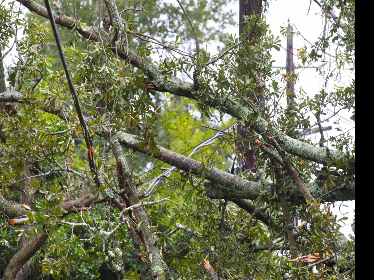 Power Outages Across Metro Baton Rouge Continue To Decline After Hurricane Delta Environment Theadvocate Com