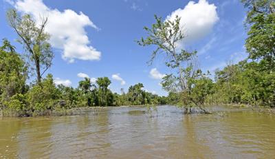 BR.atchafalayasedimentation0587.adv bf