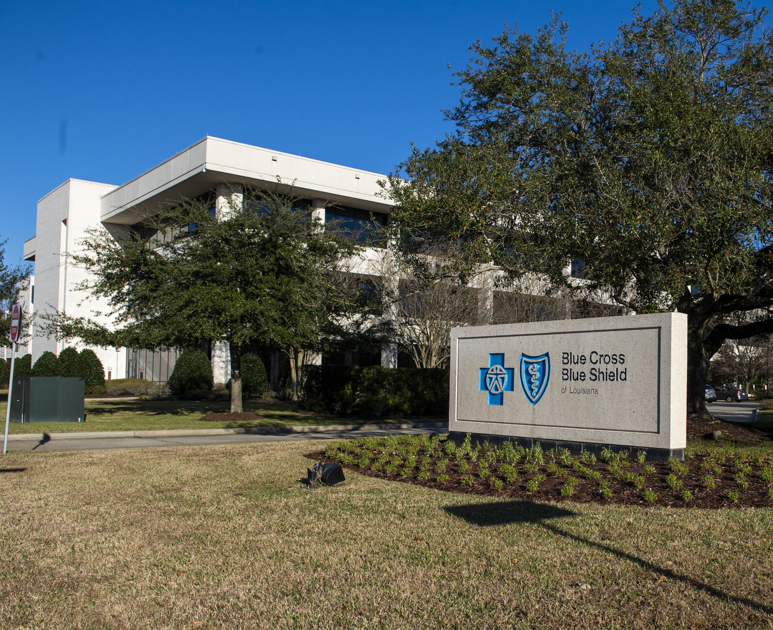 Louisiana To Hold Hearings On Blue Cross-Elevance Health | Business ...