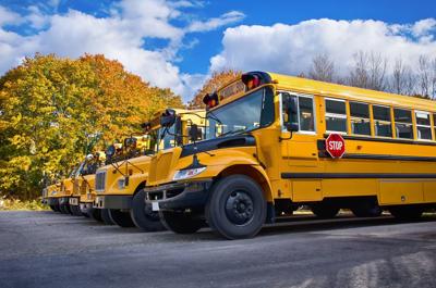 Row of yellow school buses in autumn