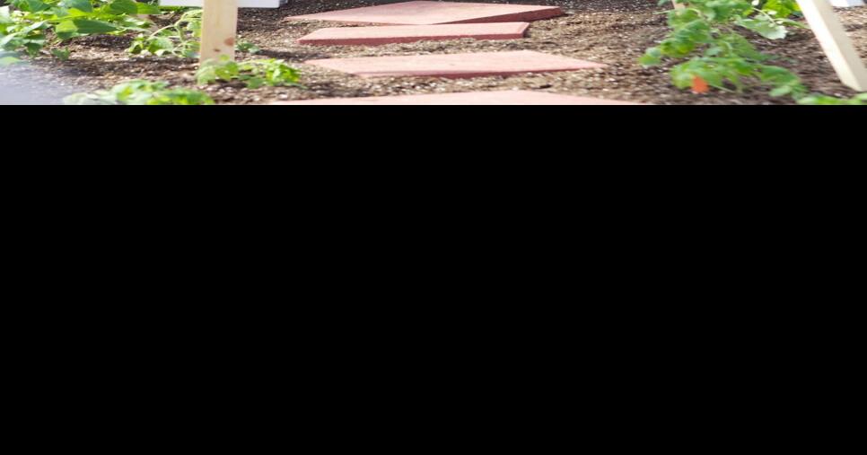 Two chances to be on a Food Network show, a cooking experience at ...