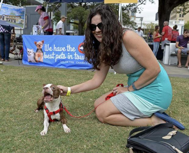 Photos: Downtown 'Beer Fest' lets patrons sample beers from around the ...