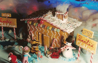 Reindeer: overrated?_lowres