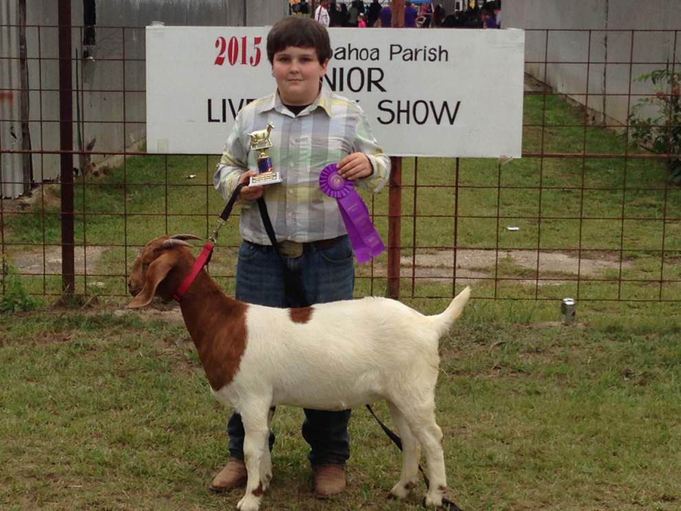 Livingston-Tangipahoa community photo gallery for Oct. 15, 2015 _lowres
