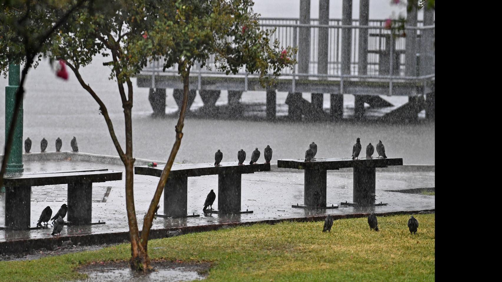 Baton Rouge Metro Sees Glimpse Of Hurricane Laura Impacts Following Multiple Tornado Warnings Environment Theadvocate Com