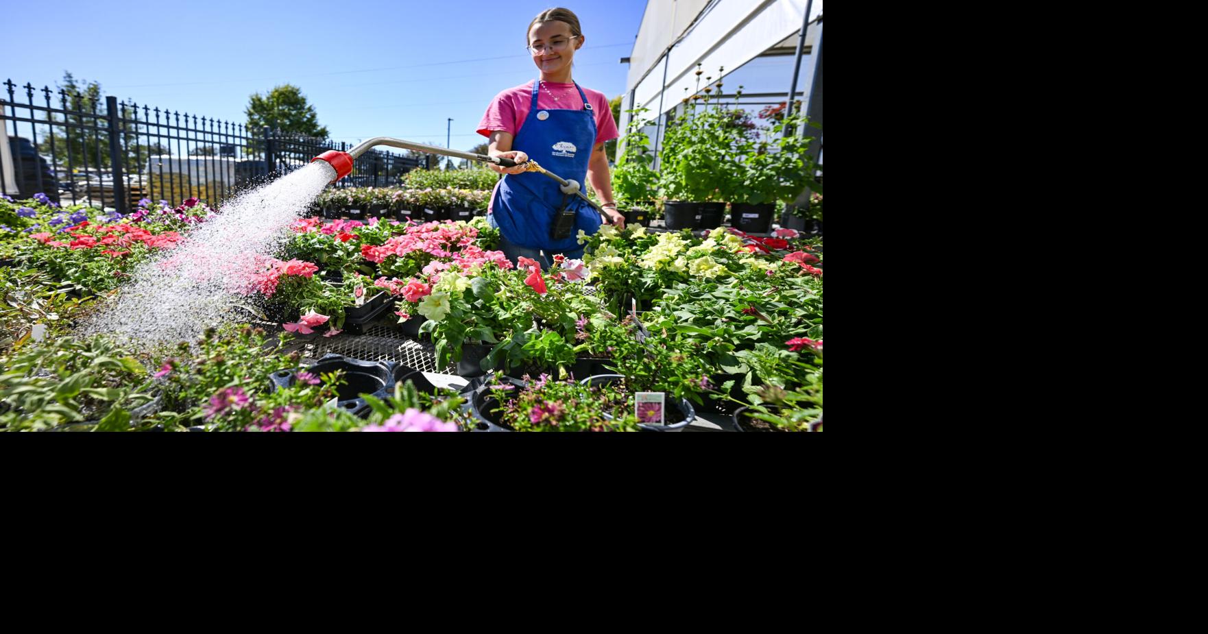 It hasn’t rained in a month, but this might be a great time for Baton Rouge gardeners. See why.