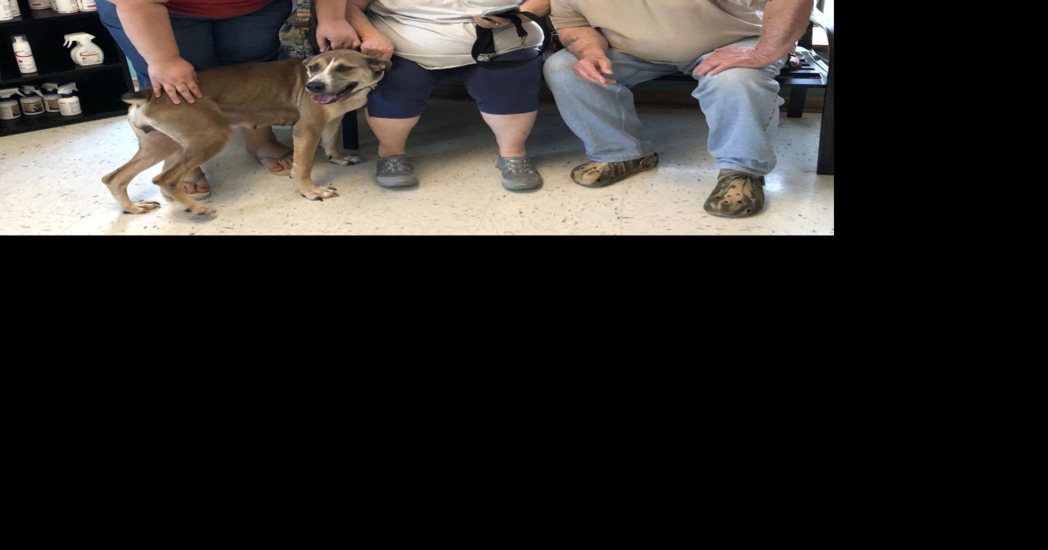 Must Luv Dogs helps reunite Daisy with her owner Zachary