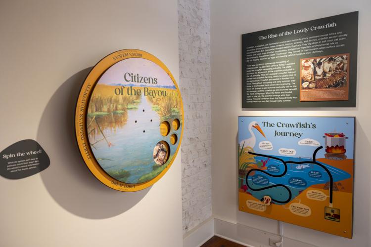NO.coastexhibit.adv_1753.JPG