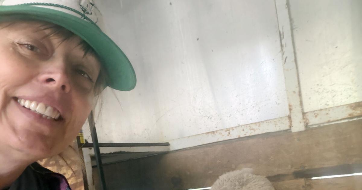 A journey to complete a bucket list item included trip to Oregon, 10-hour days and many sheep