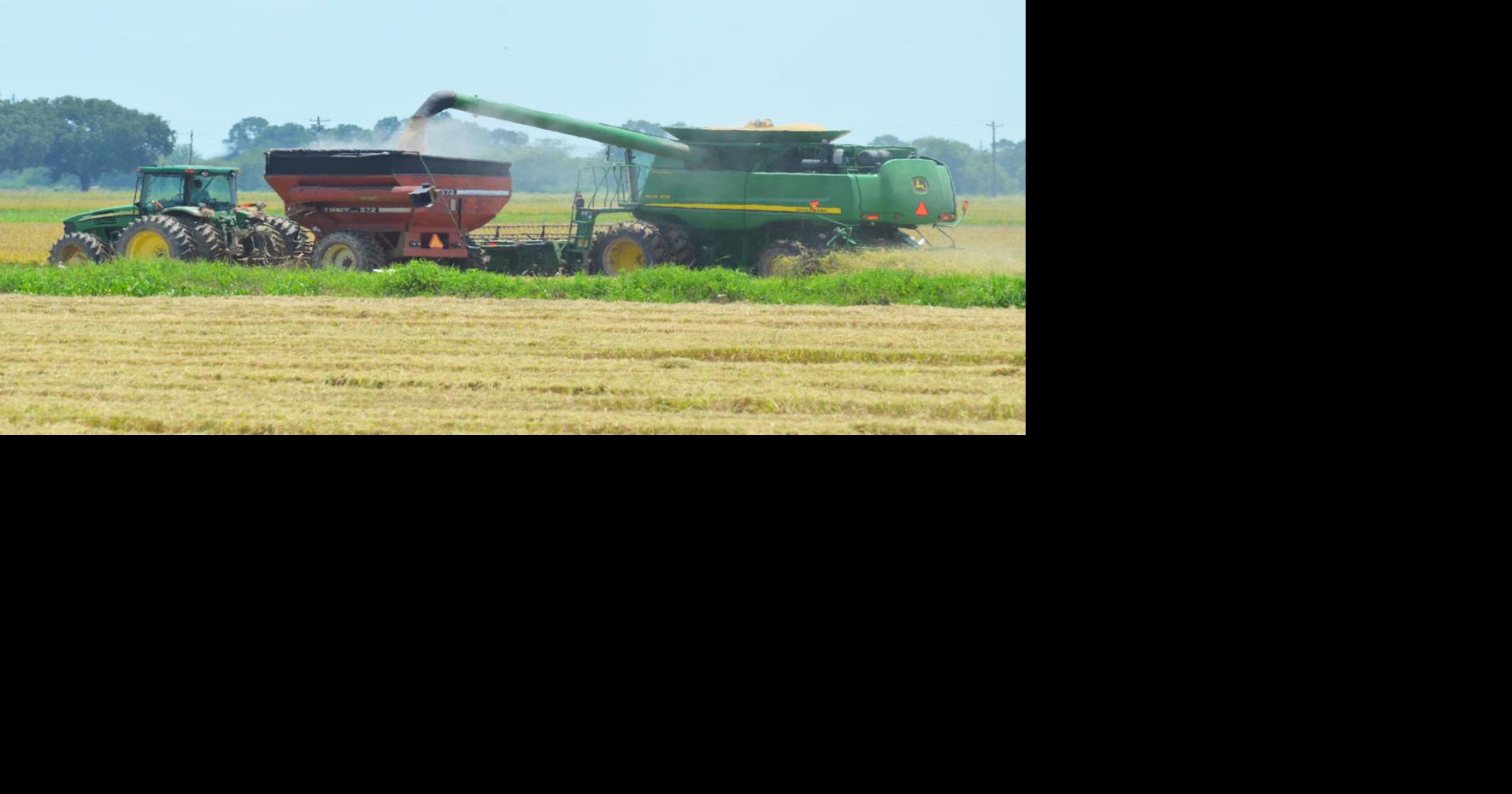 Supreme Rice in Crowley to undergo $20 million expansion | Business ...