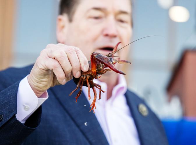 ACA.wildcrawfishpardon.adv.017.jpg