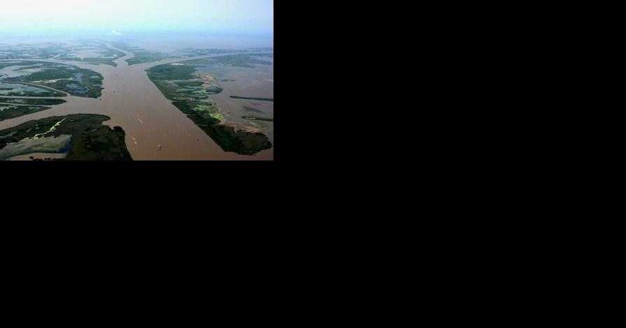 Major grant to plan future of Louisiana Bird's Foot Delta | Environment - Vimarsana News