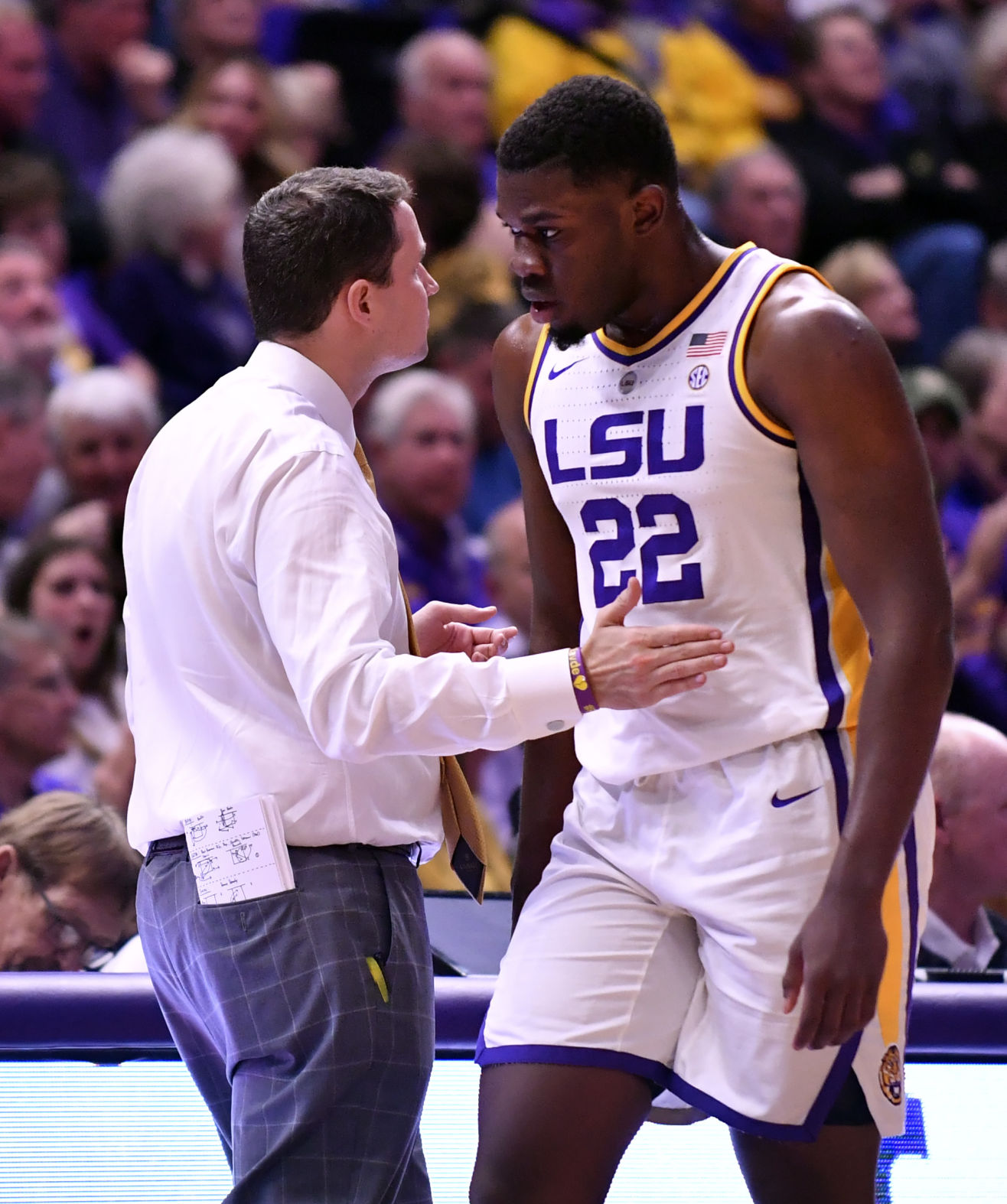 lsu basketball short shorts