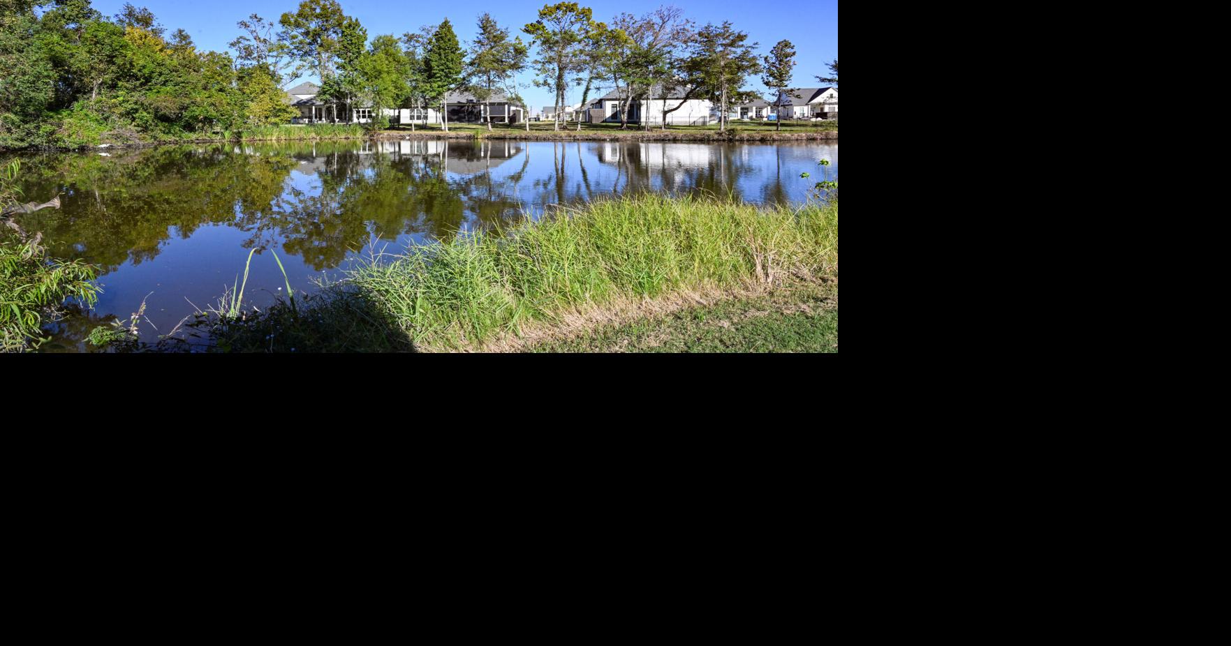 Baton Rouge University Club residents are worried about wetlands ...