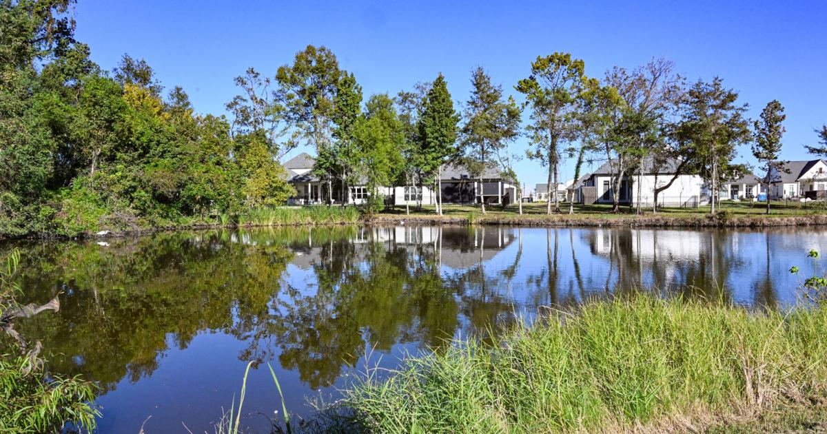 Baton Rouge University Club residents are worried about wetlands ...