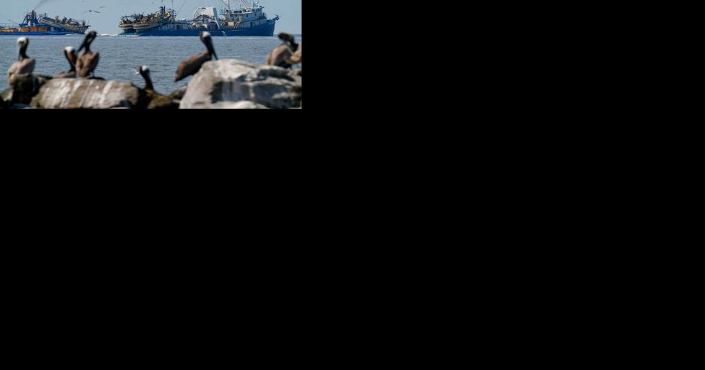 State punts on pogy boat restrictions on Louisiana coast | Environment - Vimarsana News