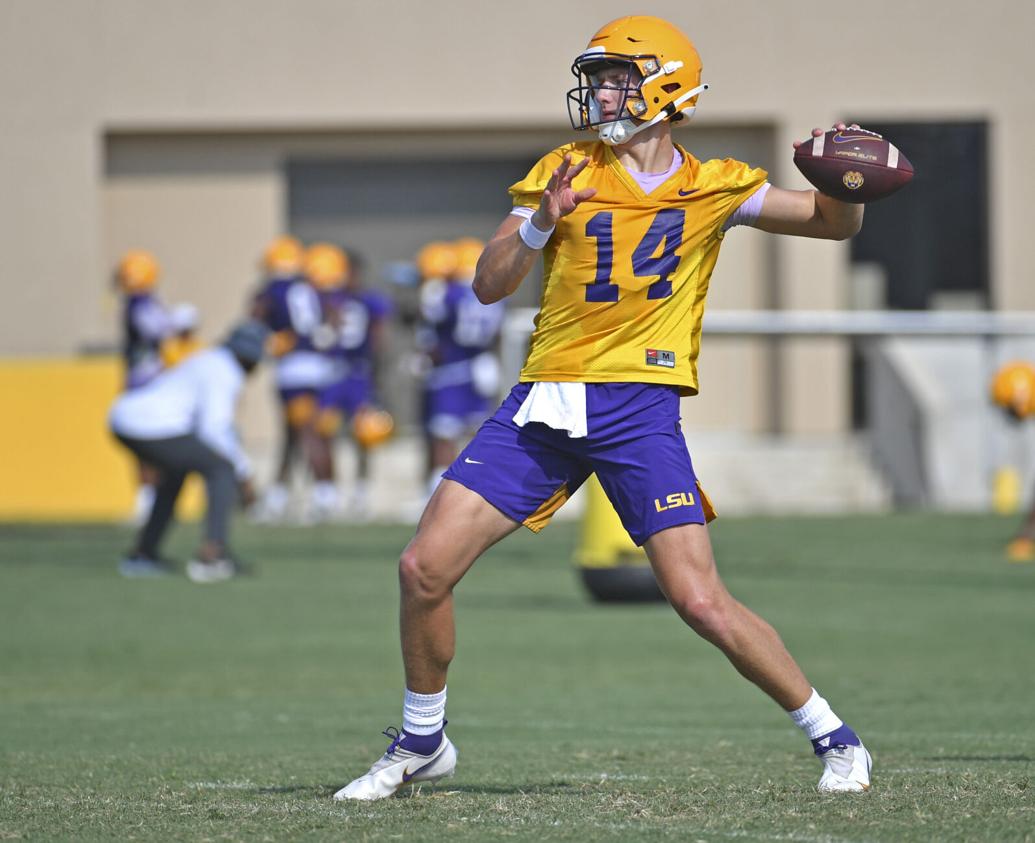 Max Johnson Max Johnson has always prepared, and now LSU can prepare its starting ...