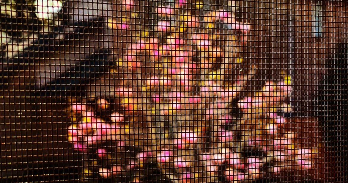 Jan Risher: Feeling sentimental at a change of seasons and hopeful for ...