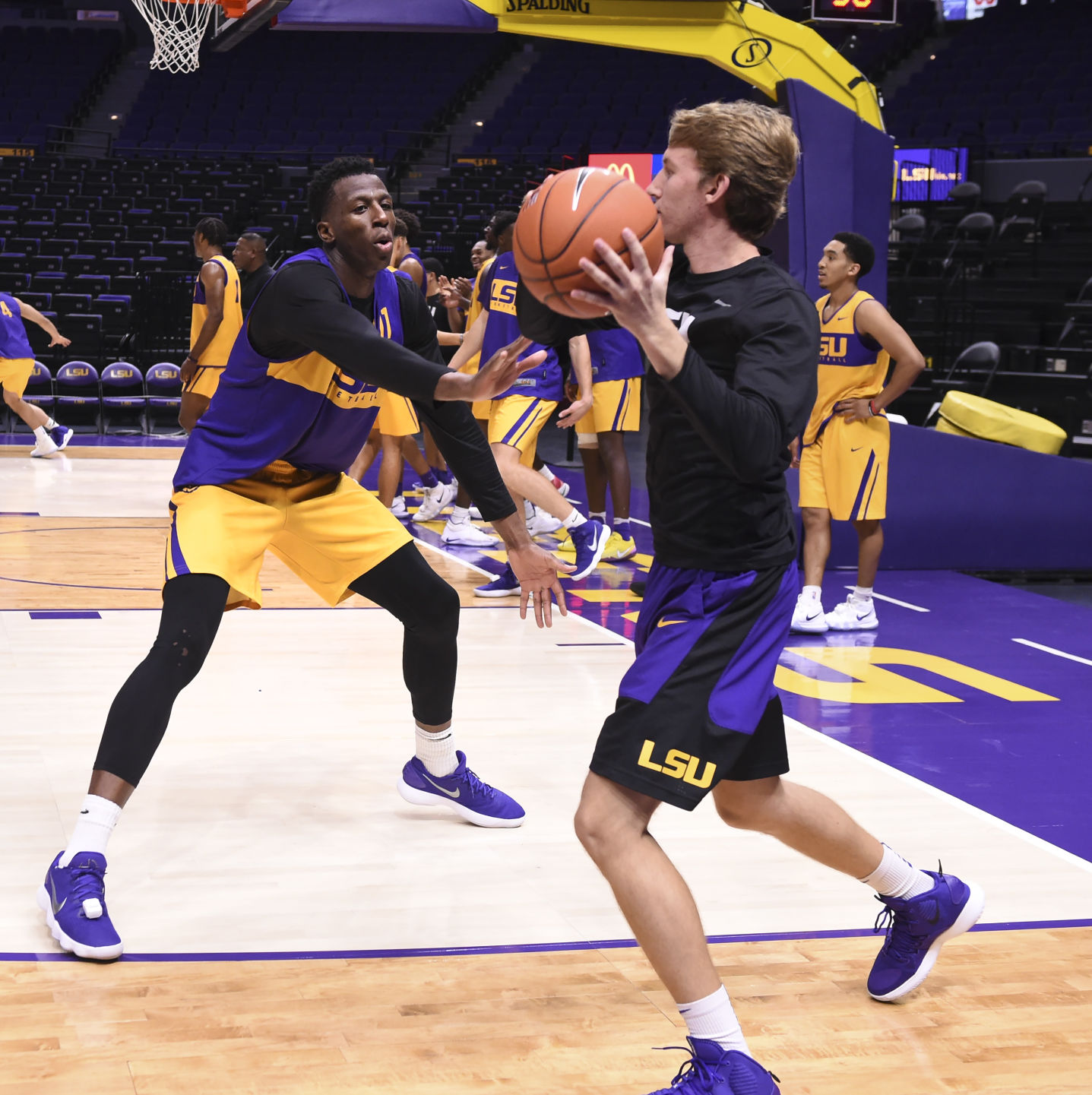 lsu basketball shoes