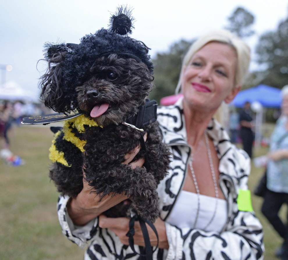 BRC Pet Costume Contest